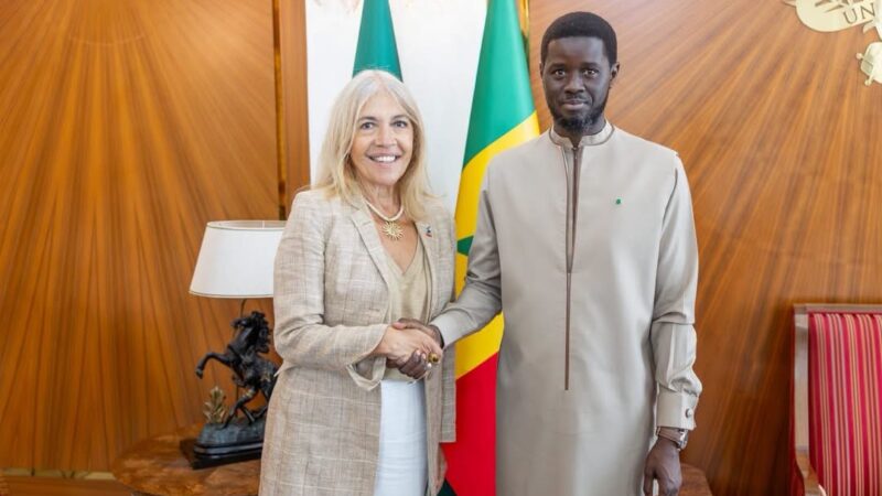 Diomaye Faye reçoit France Médias Monde, mais pas le patronat de presse sénégalais