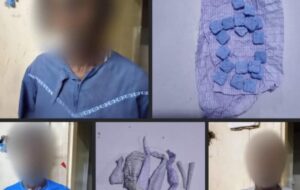 Yoff-Tonghor : huit présumés trafiquants de drogue interpellés par la gendarmerie