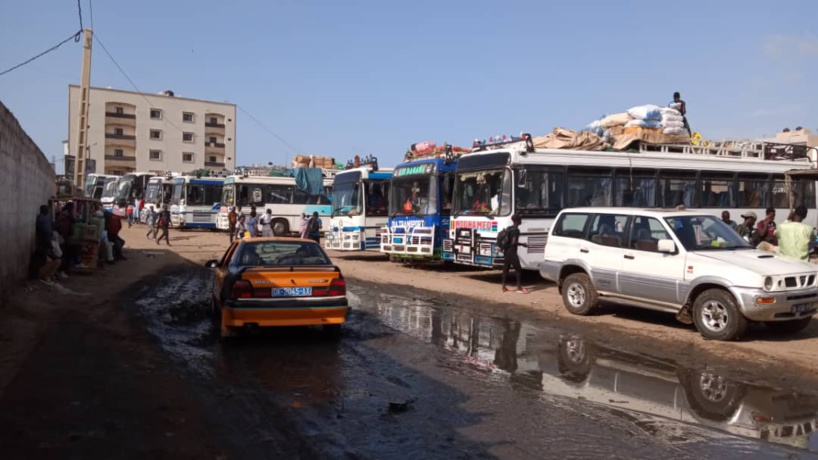 Trafic de drogue Thiadiaye-Dakar : comment le mis en cause a été interpellé au garage Bignona…