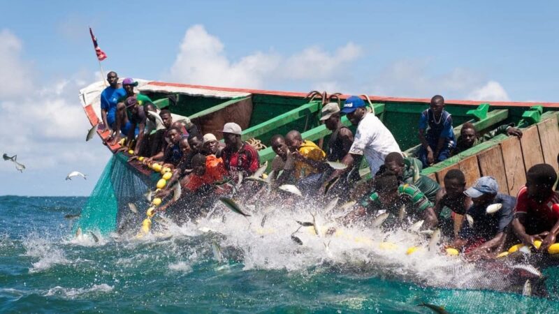 Pêche au Sénégal : l’ancien DG de l’Anam évoque des cas présumés de sénégalisation fictive