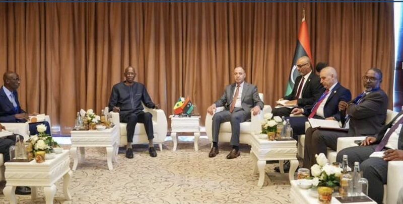 Sénégal-Libye : les ministres réaffirment le plaidoyer pour des sièges africains à l’ONU