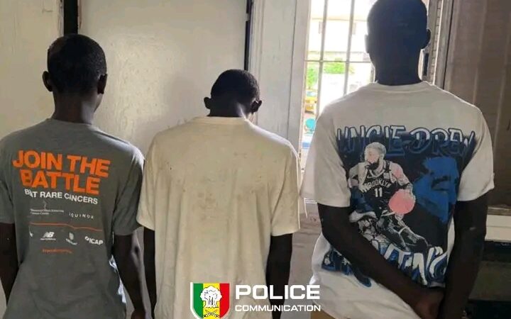 Point de presse du lutteur Talfa : trois individus arrêtés après des vols avec violence sur la VDN