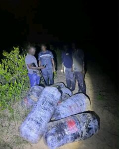 Trafic de drogue : 360 kg de chanvre indien saisis à Mbodiène, un individu interpellé