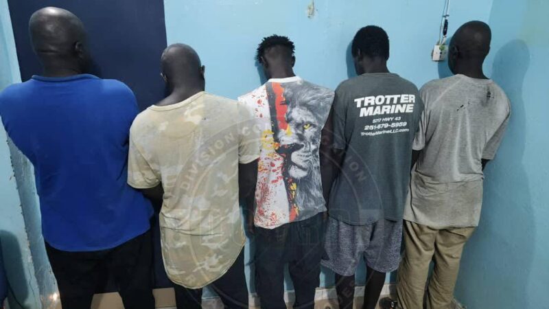 Lutte contre le vol de bétail : Cinq (05) individus arrêtés à Rosso