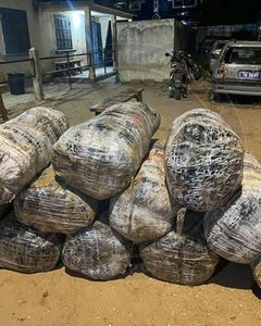 Mbodiène : 12 colis de chanvre indien interceptés par les gendarmes