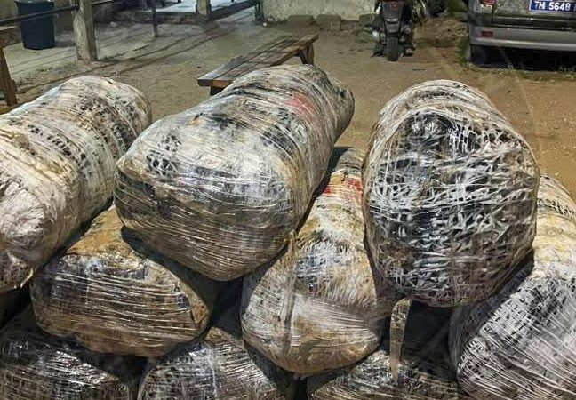 Mbodiène : 12 colis de chanvre indien interceptés par les gendarmes