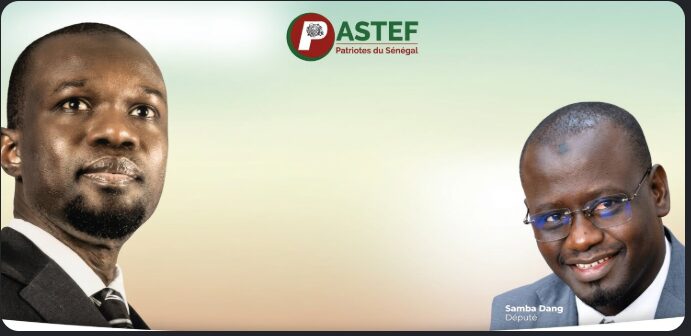 Birkelane : Députés, anciens DG… Pastef sort ses poids lourds