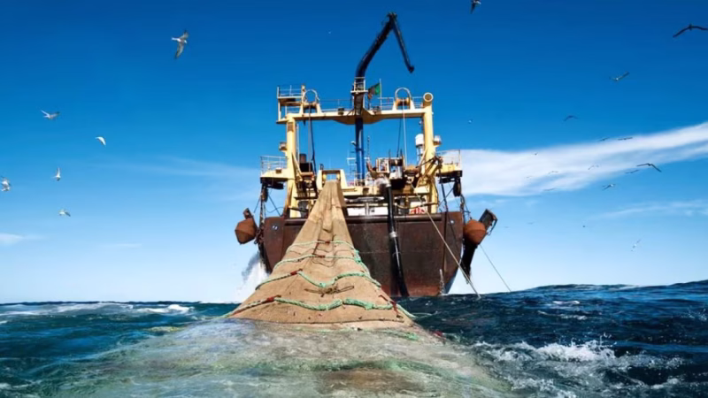 271 navires immatriculés au Sénégal, dont 187 affectés à la pêche et à l’industrie