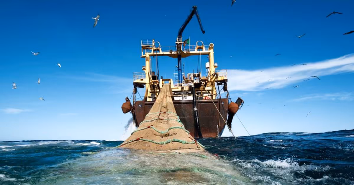 Navire de pêche illustrant la flotte industrielle et les activités maritimes au Sénégal.