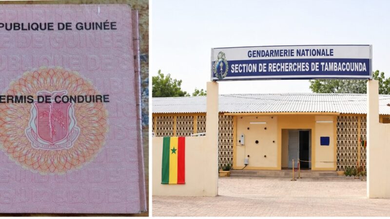 Sécurité routière : 35 000 FCFA pour un faux permis guinéen, quatre personnes sous les verrous à Tambacounda