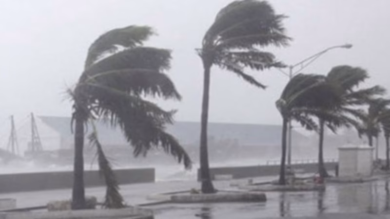 Météo au Sénégal : Mbour affiche 68 % de risque de pluie, Matam et Ziguinchor aussi concernés