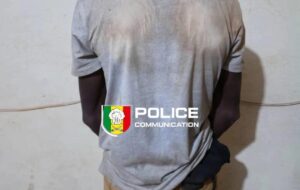 À Farading, un orpailleur revenait du Mali avec 62 sachets de chanvre