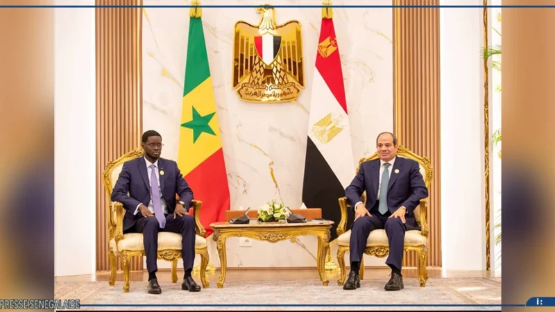 Diomaye Faye et Al-Sissi veulent élargir leur partenariat bilatéral à de nouveaux domaines