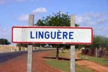 Sidy Tall quitte l’APR à Linguère et rejoint Kiiraay derrière le ministre Idrissa Samb
