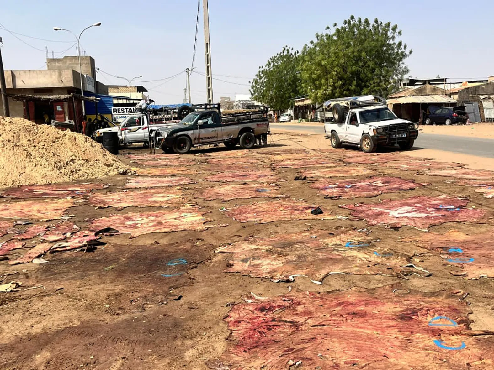 À Touba, Cheikh Dia peut stocker 4 000 peaux sans trouver d’acheteur
