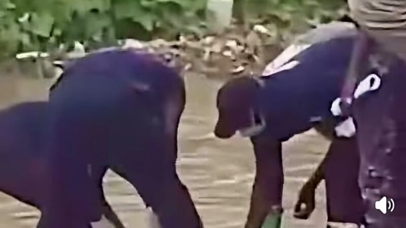 Dakar : un trentenaire aurait été emporté puis retrouvé mort dans le canal de Ngor